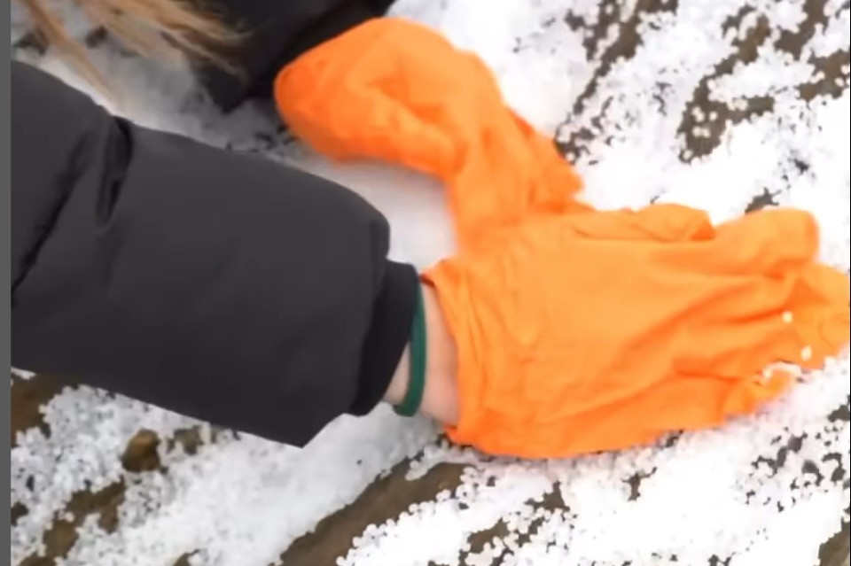 Screenshot video
