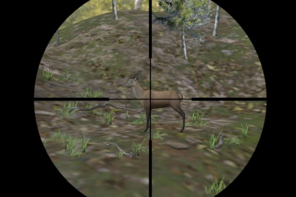 Screenshot della simulazione di caccia sul sito www.wildtieranatomie.gr.ch