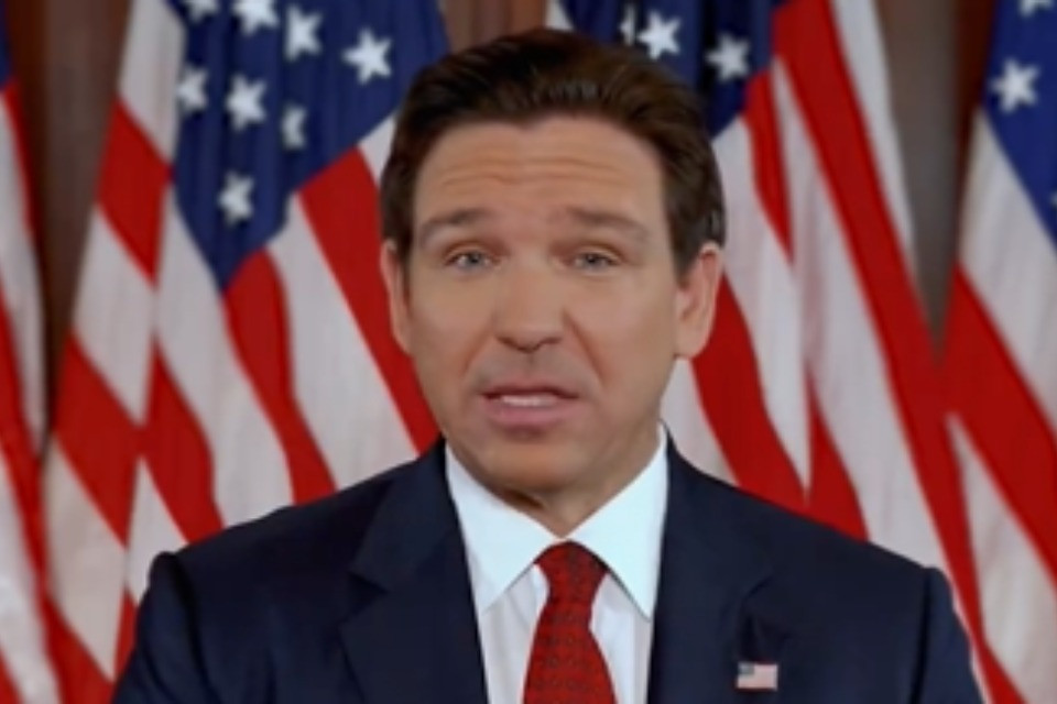 screenshot video