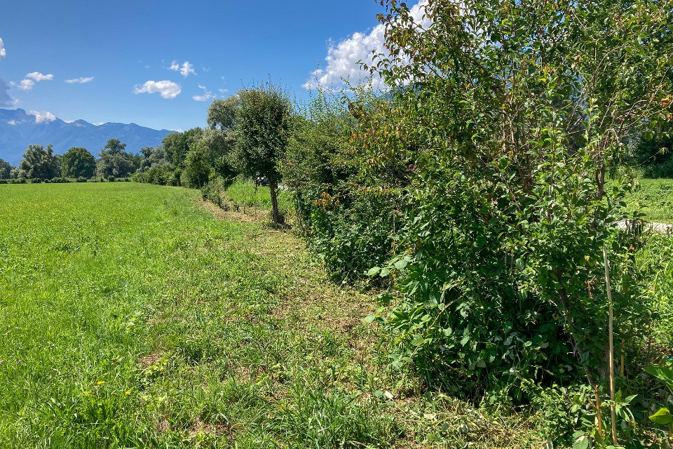 Situazione ad oggi dopo il periodo di recupero. © VBS/DDPS