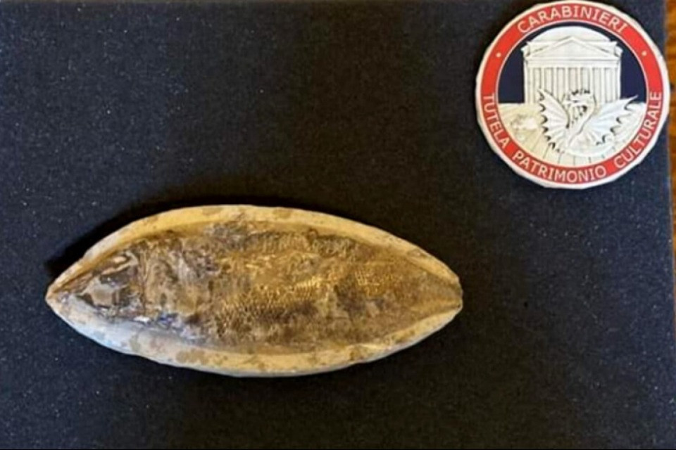 Carabinieri nucleo tutela patrimonio culturale