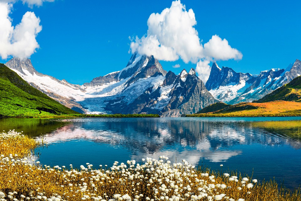 © Shutterstock