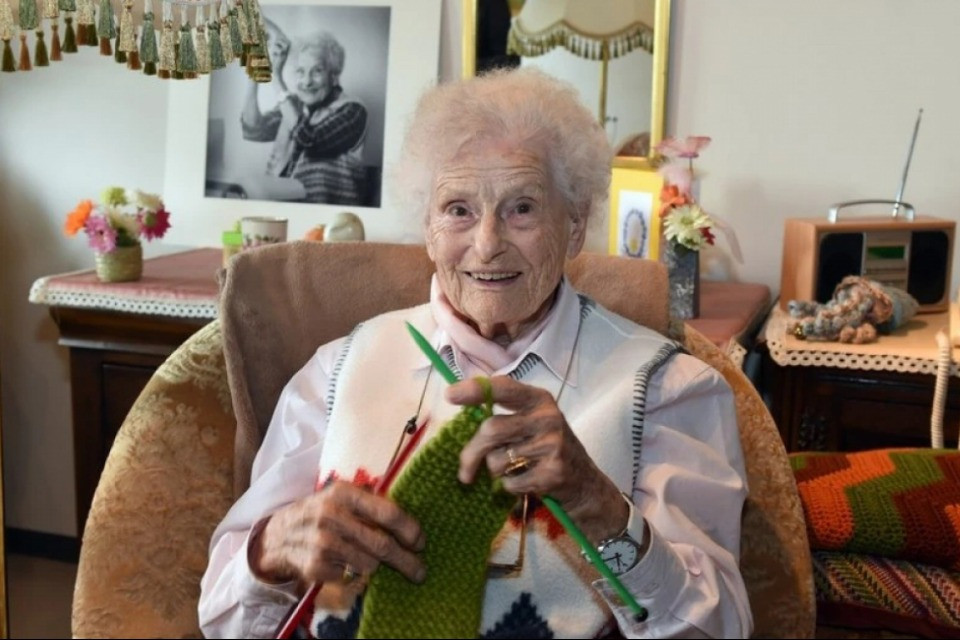 Gerontology Wiki