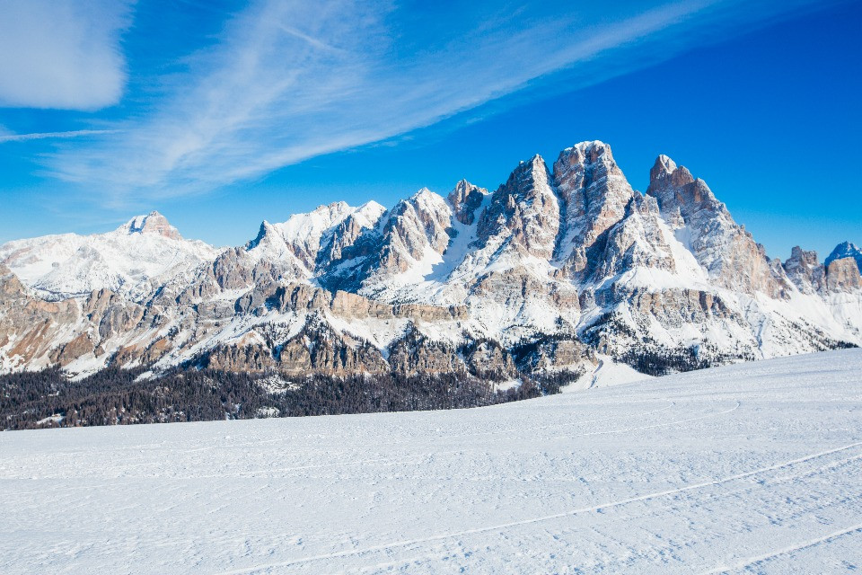 © Shutterstock