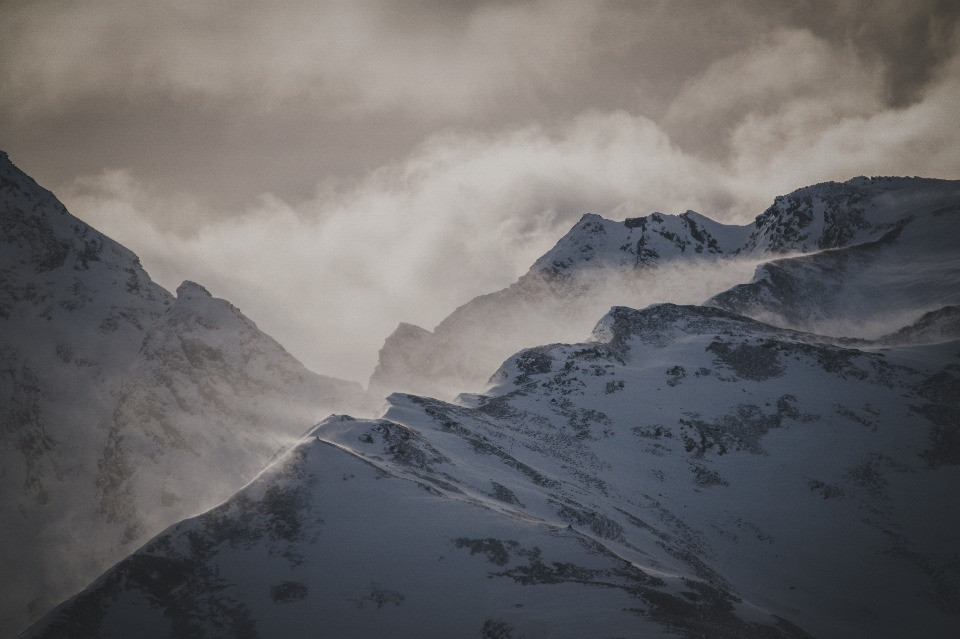 © Shutterstock