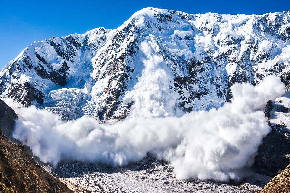 © Shutterstock