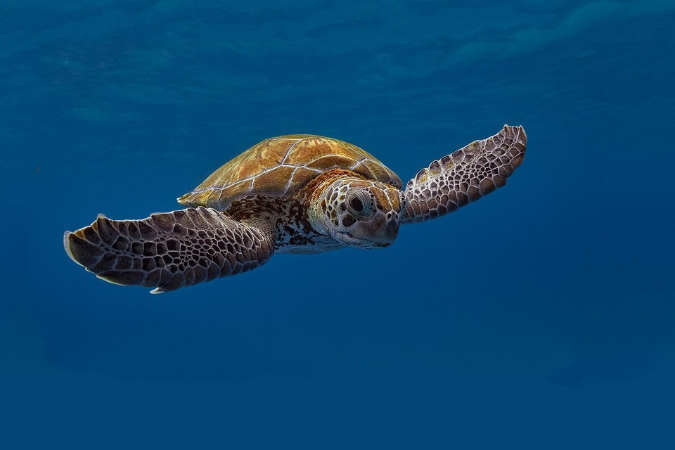 © Shutterstock