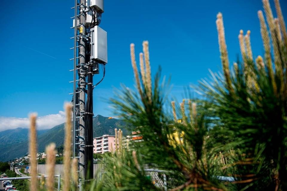 Cdt