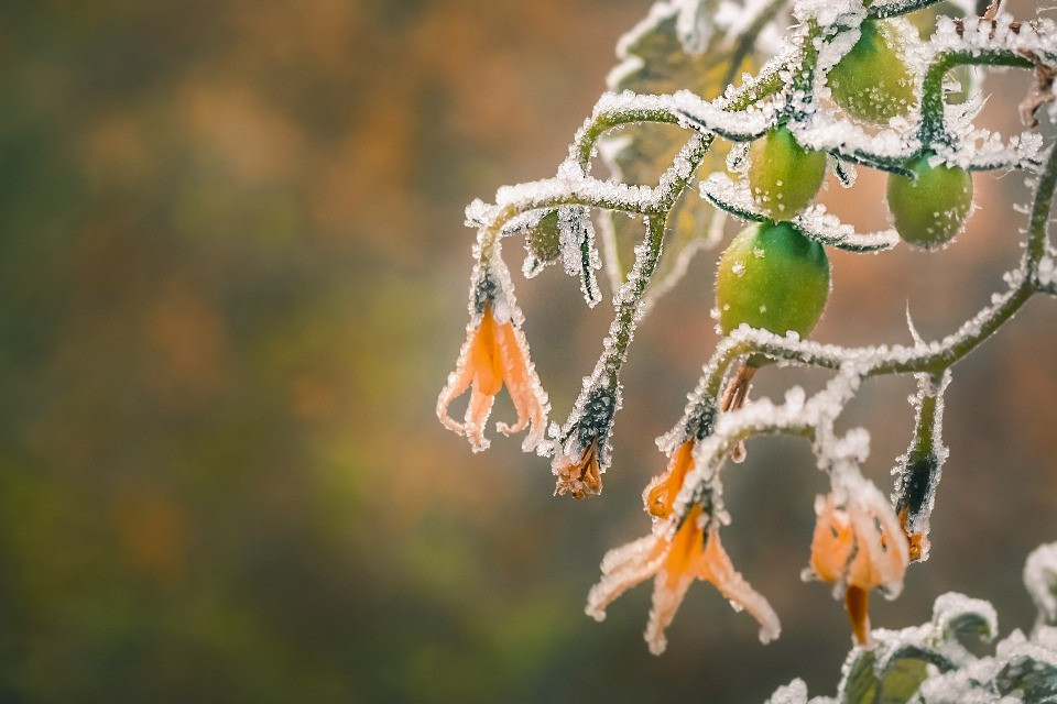© Shutterstock