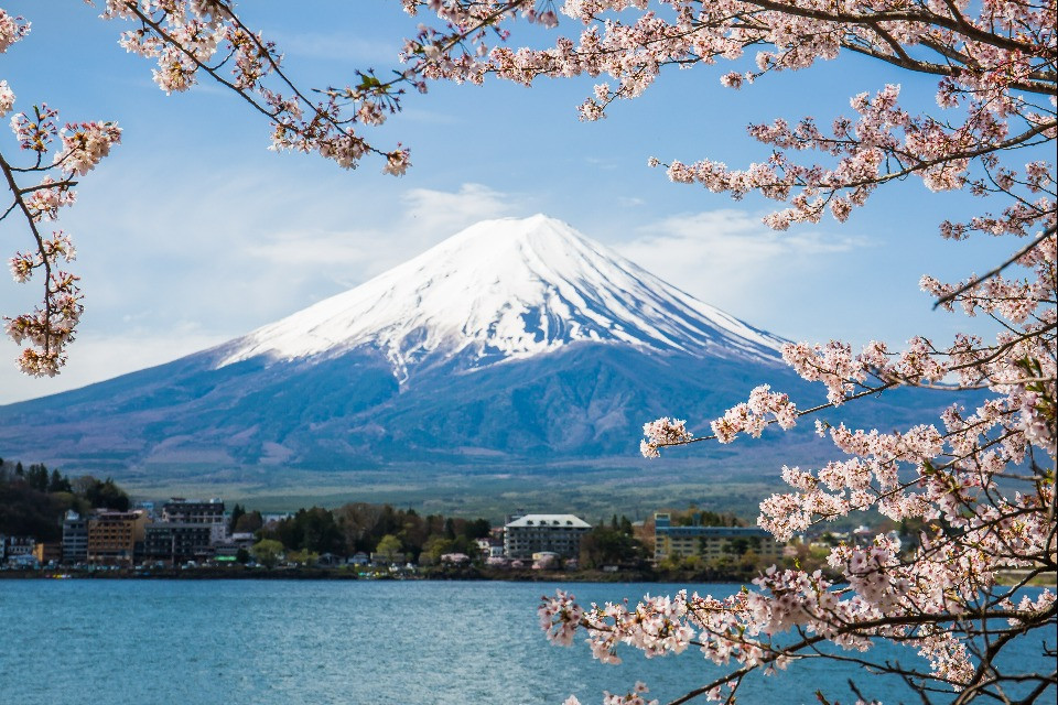 © Shutterstock