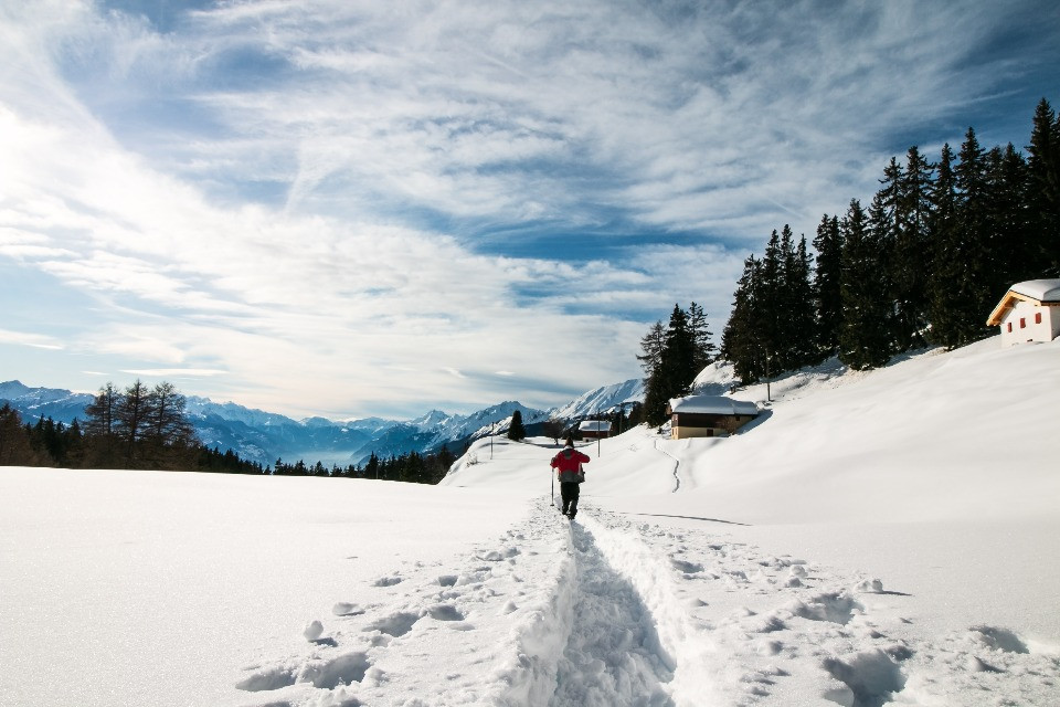 © Shutterstock