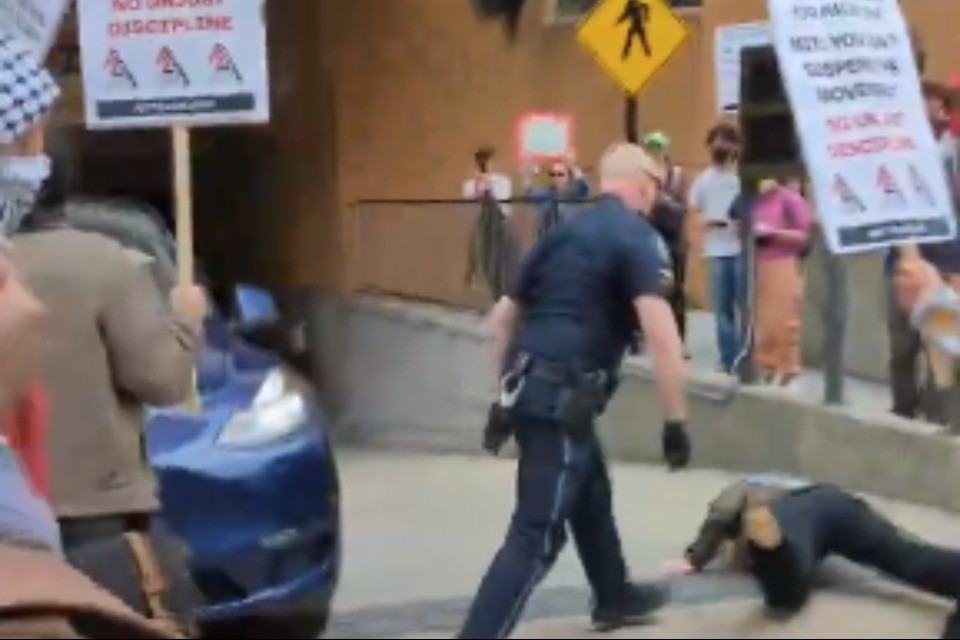 screenshot video