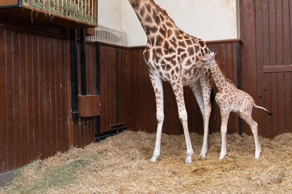 © Facebook Zoo Basel