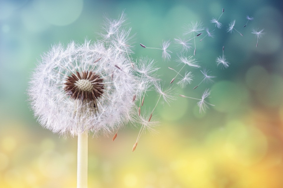 © Shutterstock