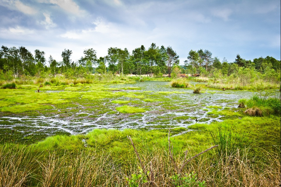 © Shutterstock