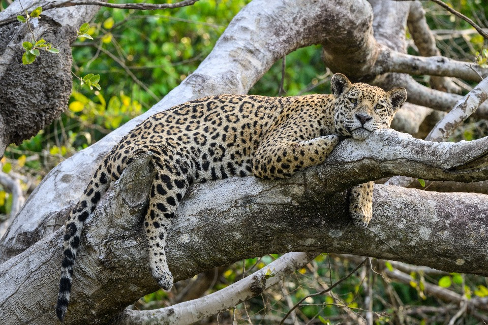 © Shutterstock