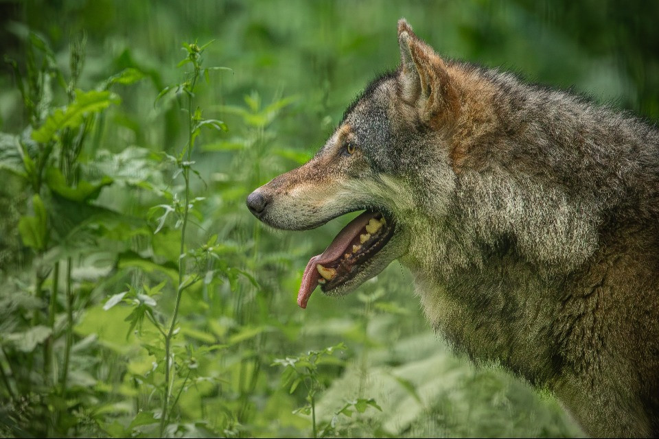 © Shutterstock