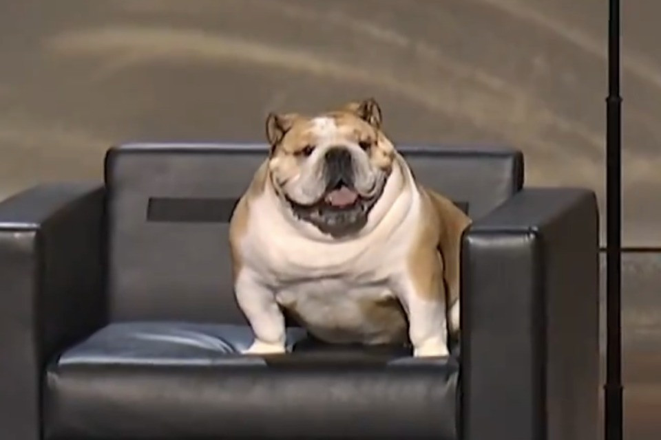 Screenshot video
