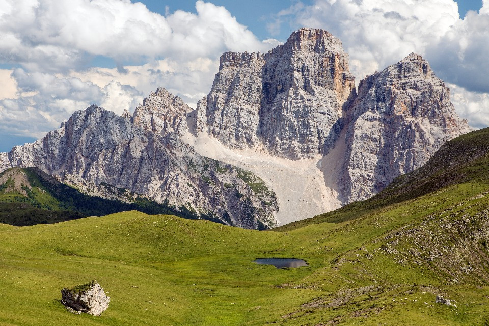 © Shutterstock