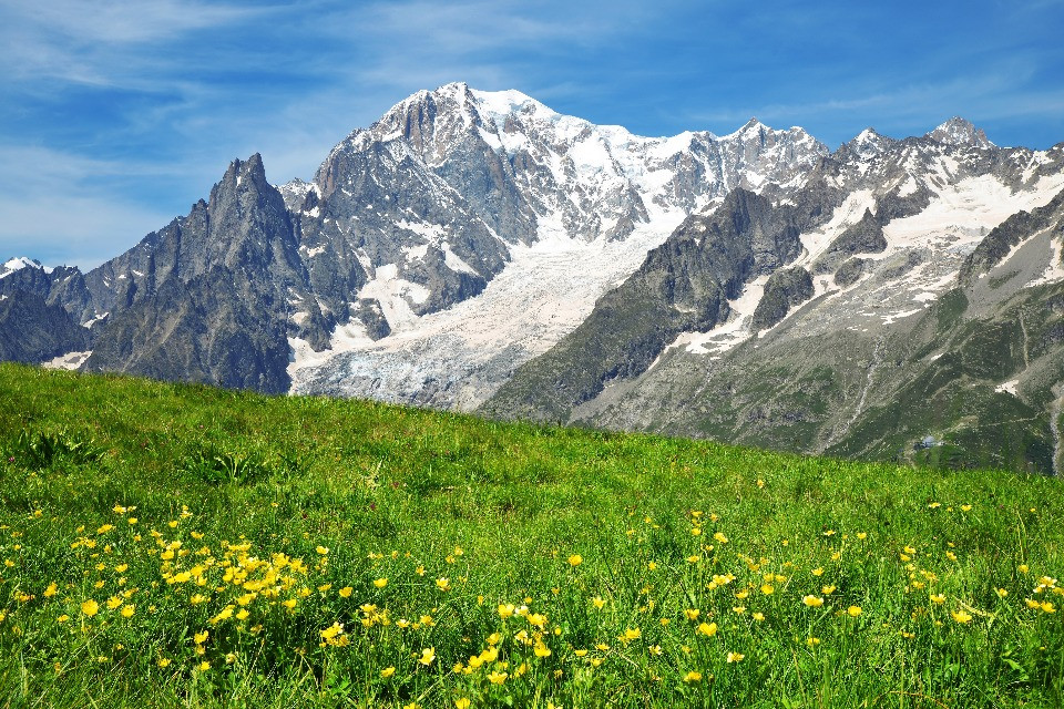 © Shutterstock