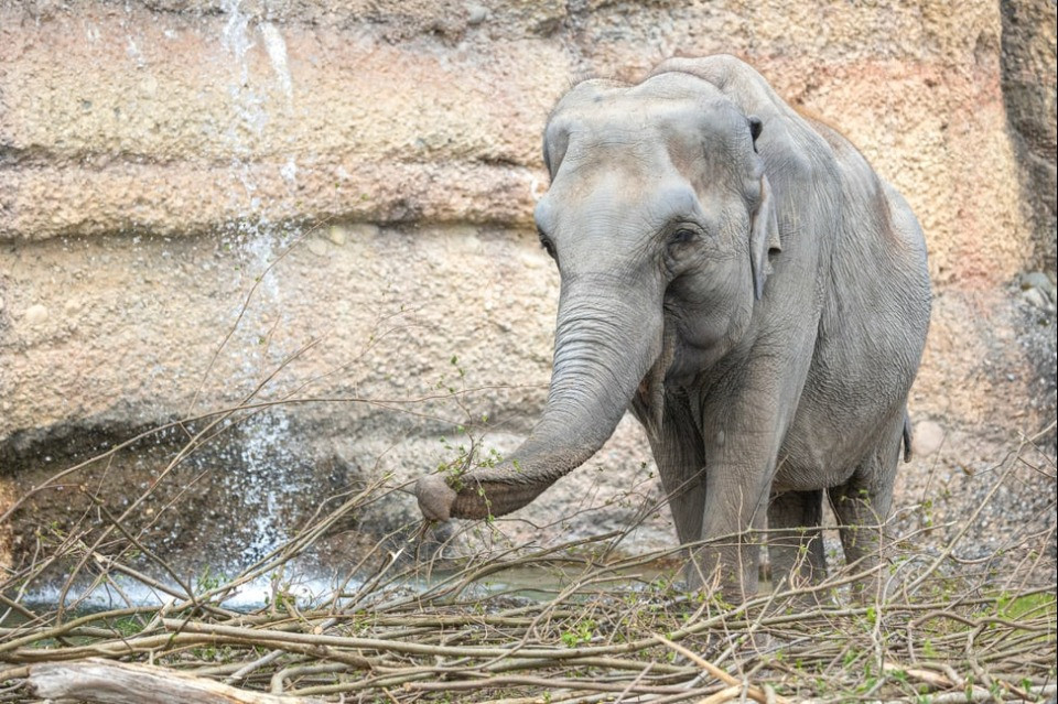 Zoo Zurigo