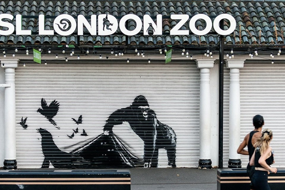 © Instagram / @banksy
