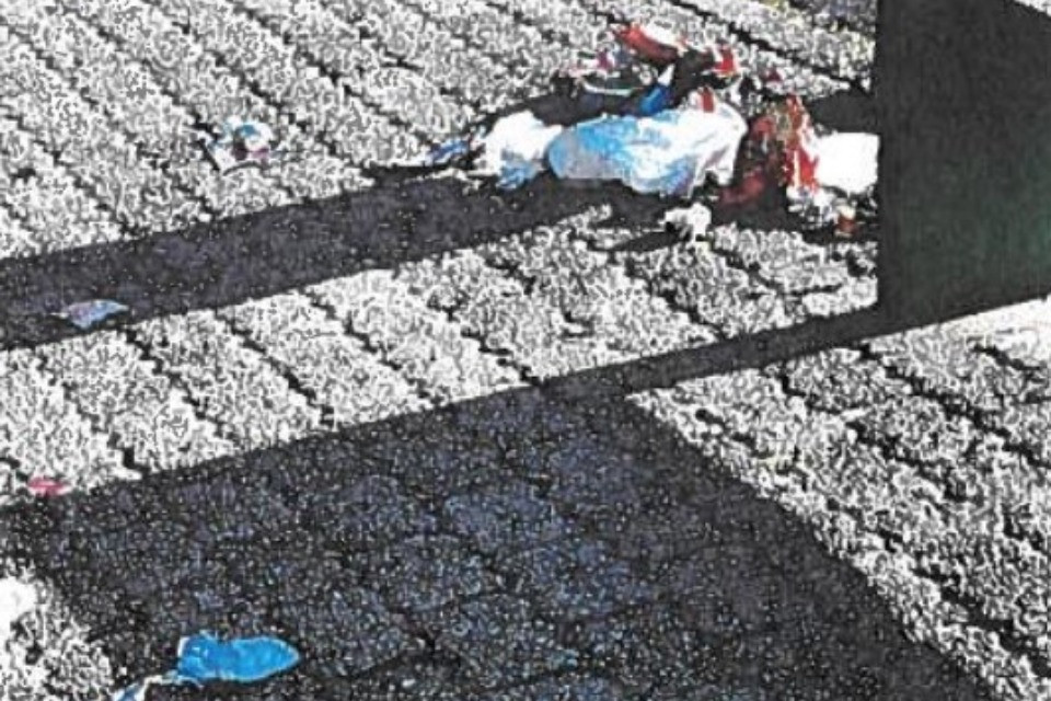 Immagine allegata all'interrogazione
