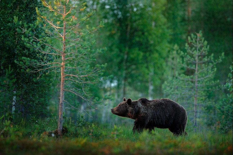 © Shutterstock