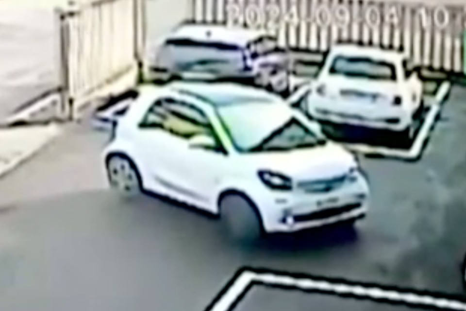 Screenshot Video
