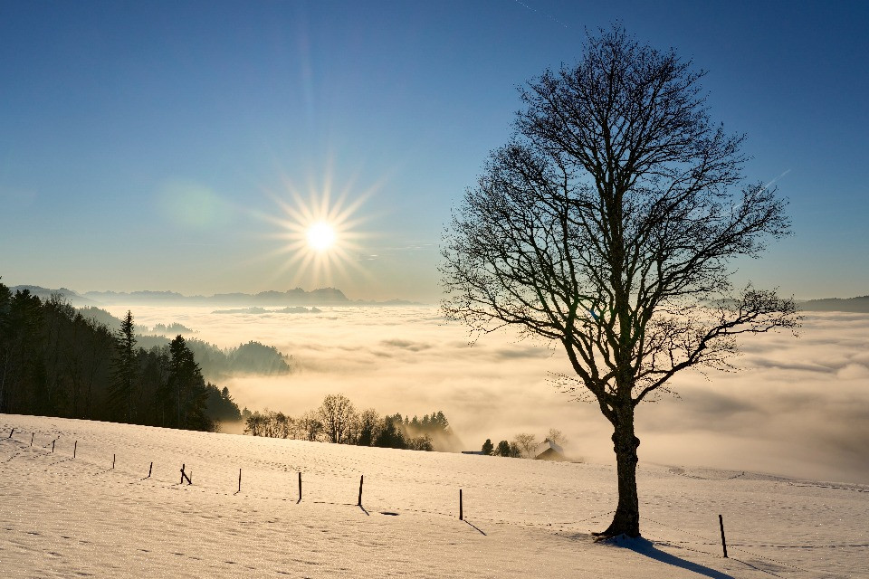 © Shutterstock