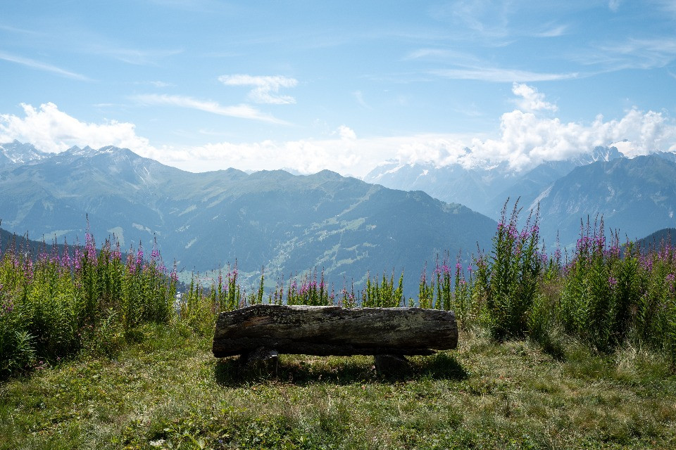 © Shutterstock