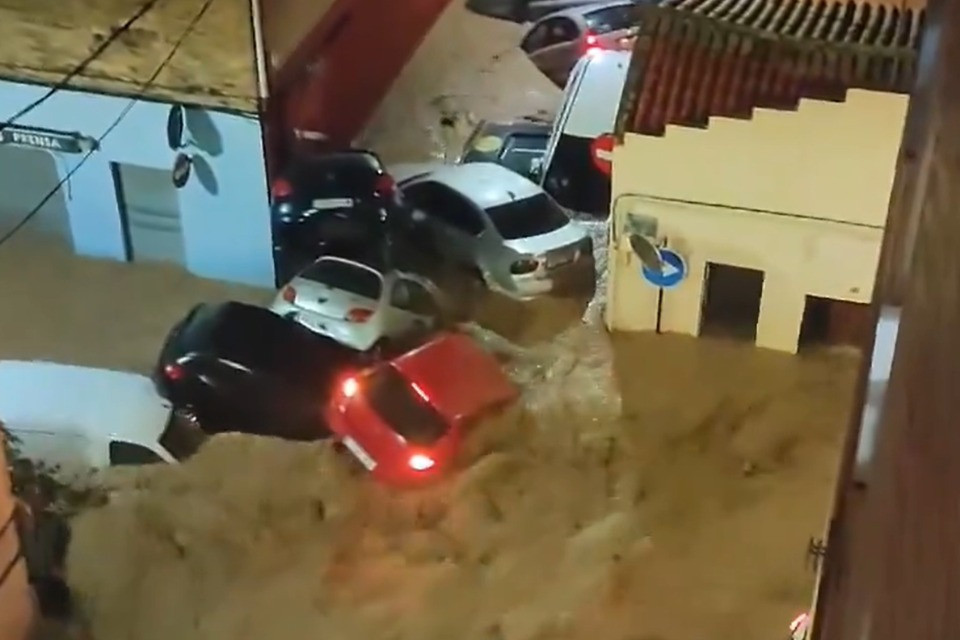 Screenshot video