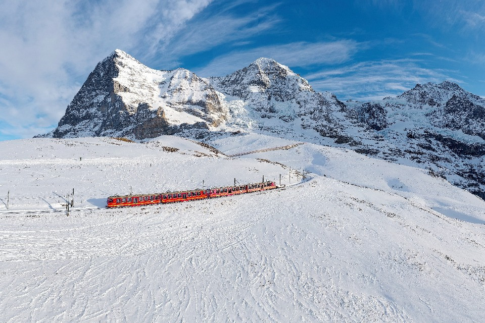 © Shutterstock