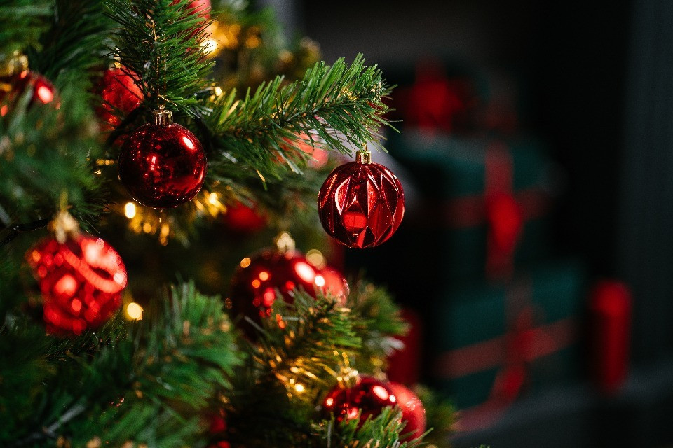© Shutterstock