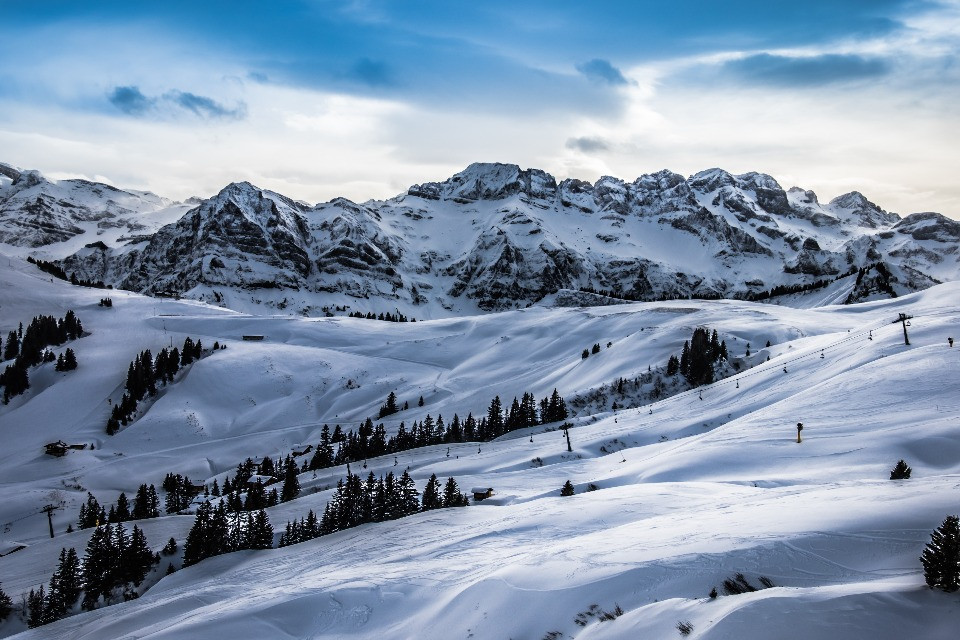 © Shutterstock