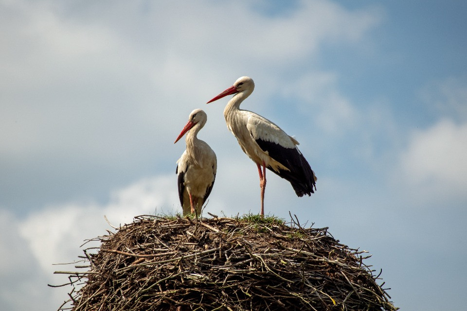 © Shutterstock