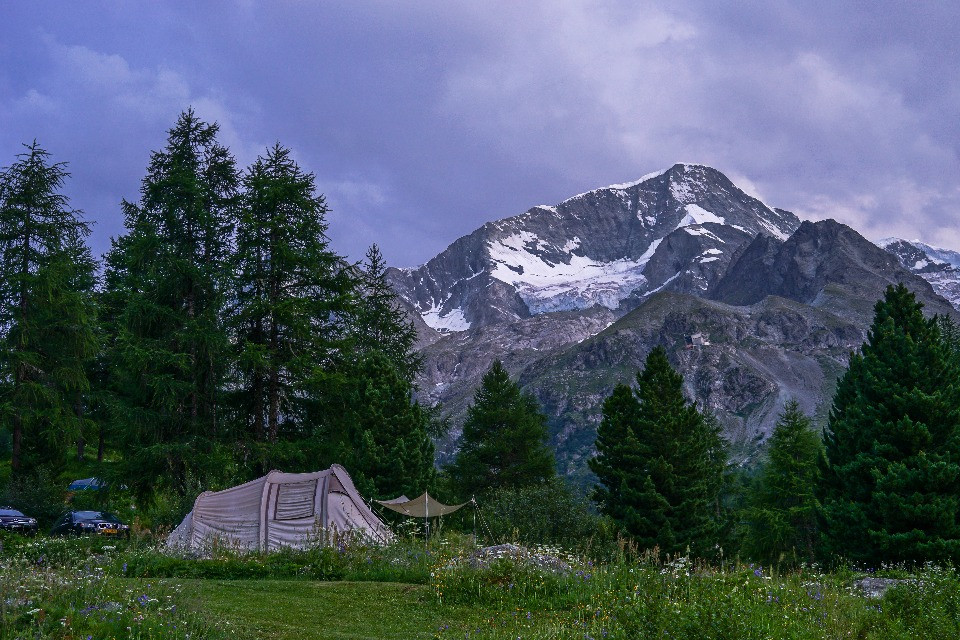 © Shutterstock