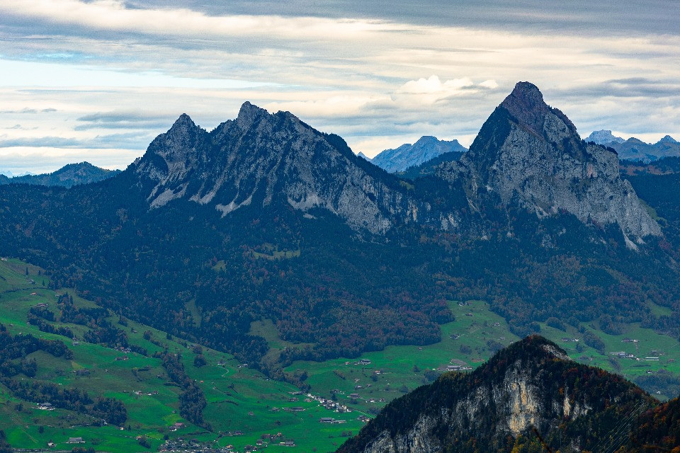 © Shutterstock