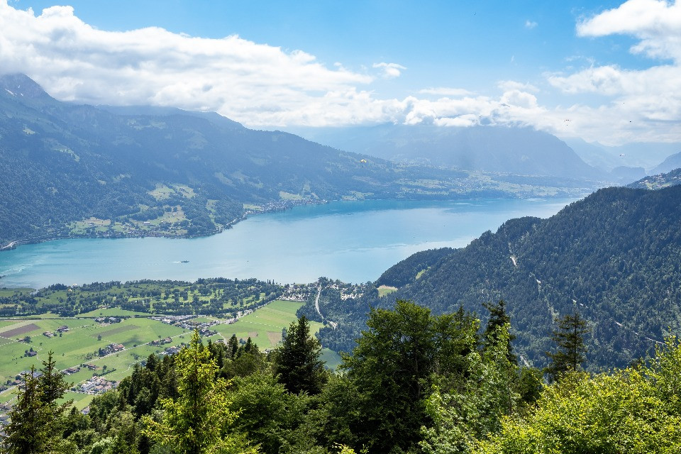© Shutterstock