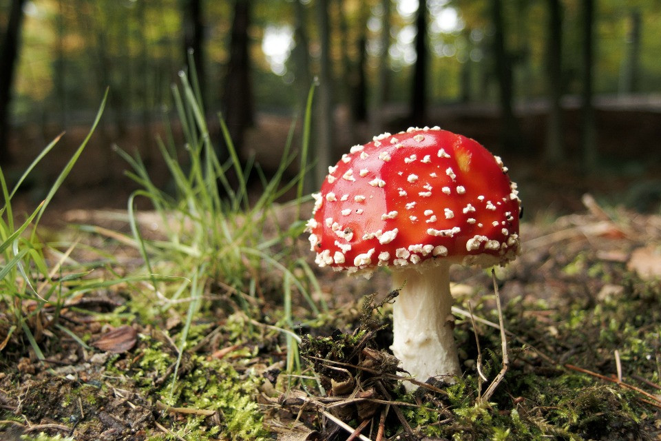 © Shutterstock