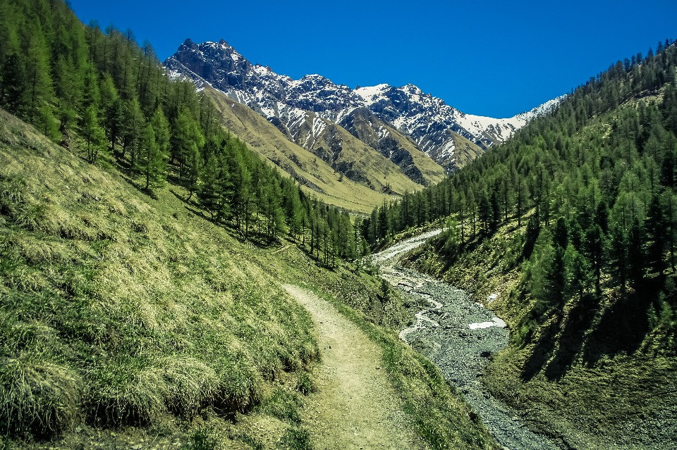 © Shutterstock
