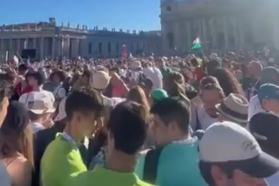 screenshot video
