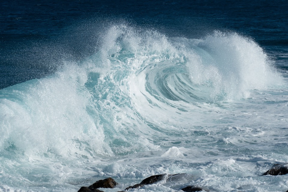 © Shutterstock