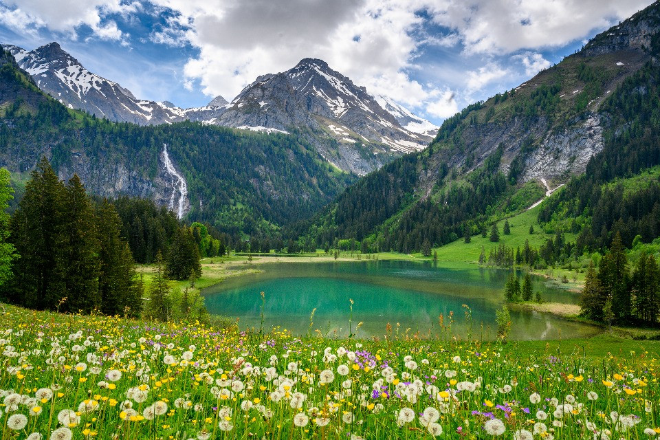 © Shutterstock