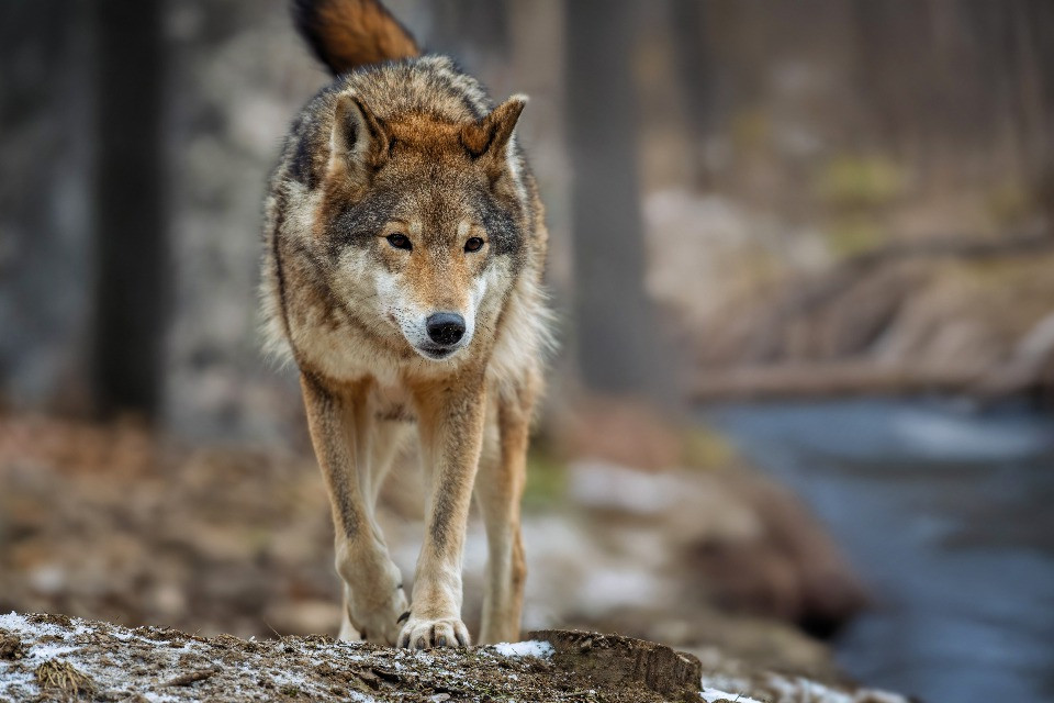 © Shutterstock