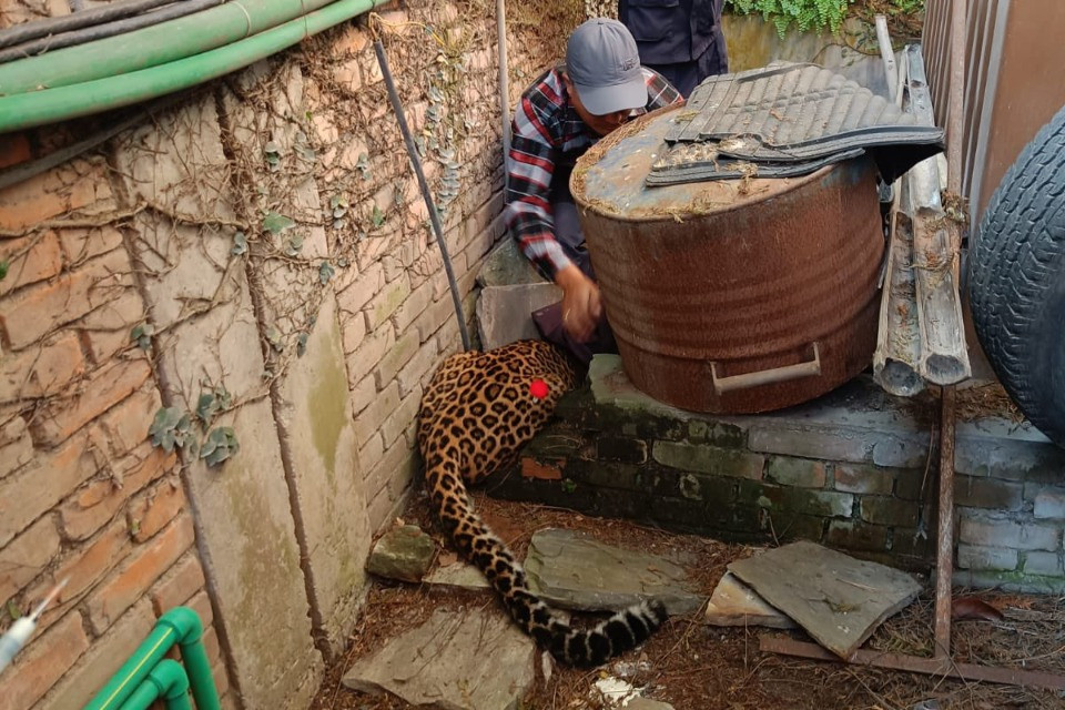 © Facebook - Embassy of Switzerland in Nepal