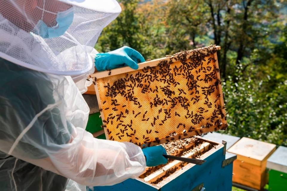 © CdT/Chiara Zocchetti