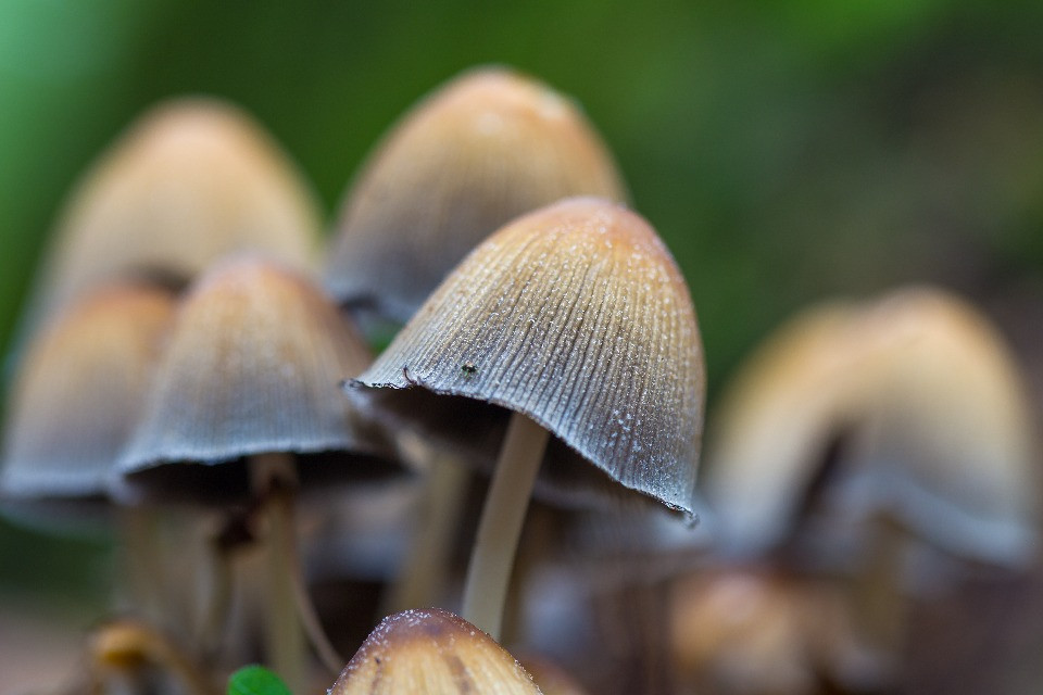 © Shutterstock