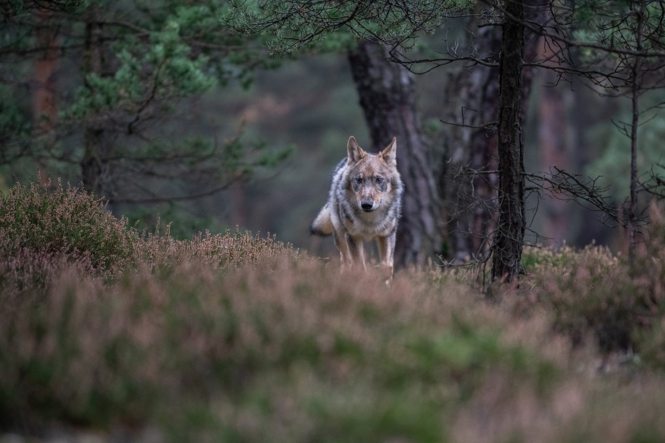 © Shutterstock