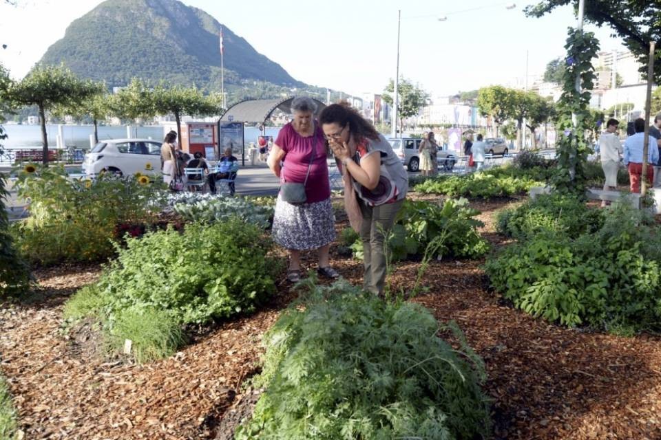 Amianto, nessun pericolo negli orti di Lugano